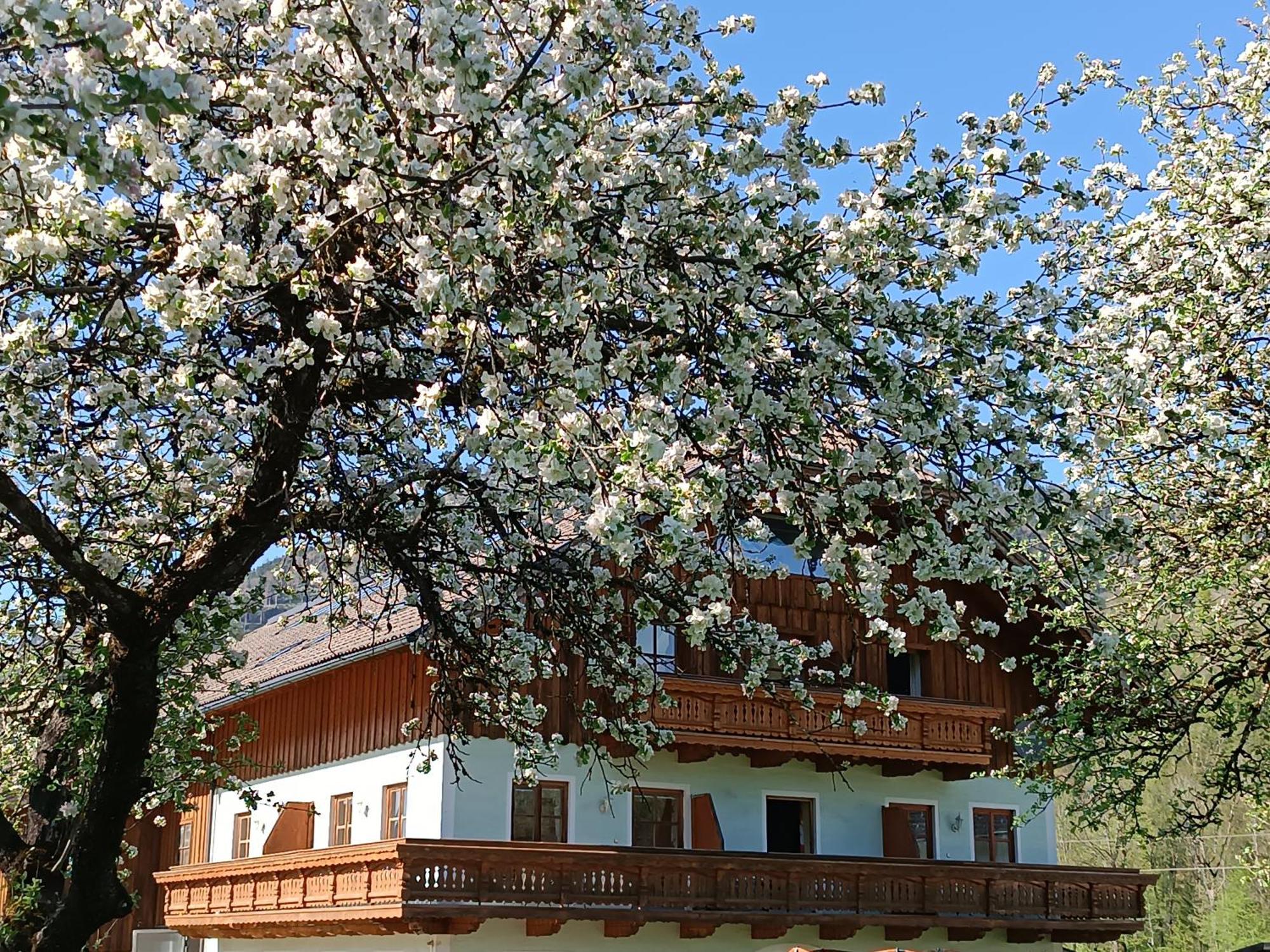 Apartamento Hintererhof Hintersee Exterior foto