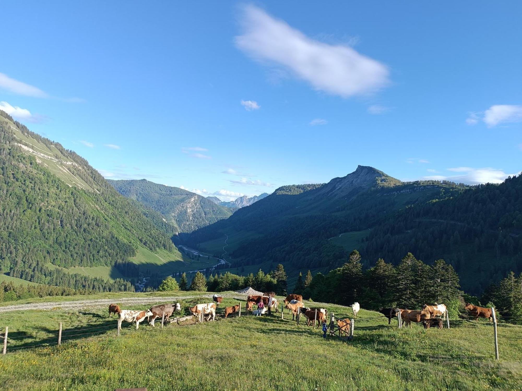 Apartamento Hintererhof Hintersee Exterior foto